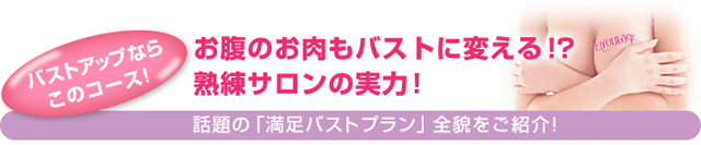 話題の「満足バストプラン」全貌をご紹介！